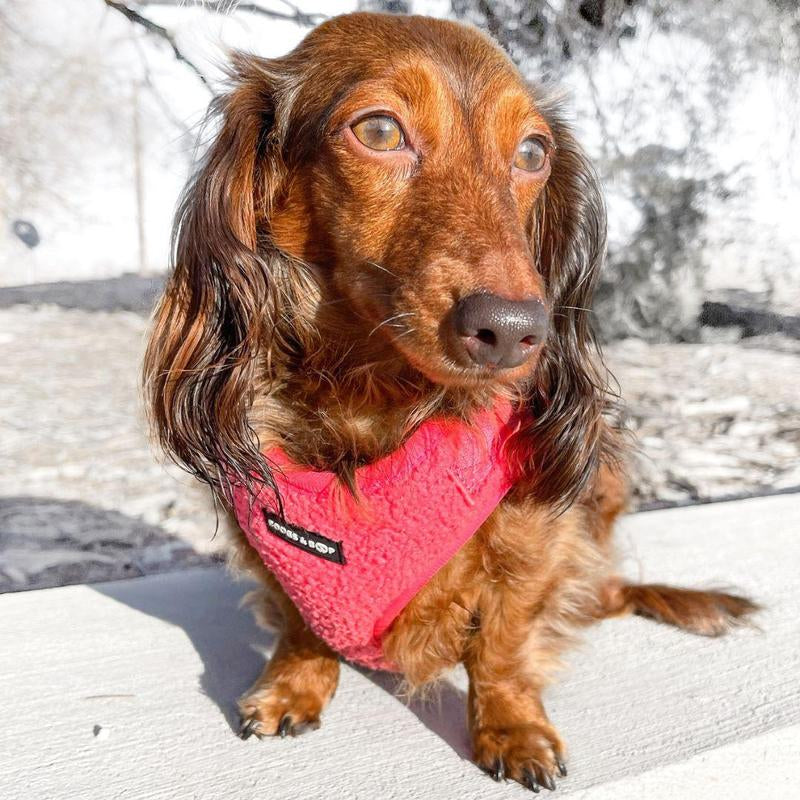 Adjustable Teddy Fabric Dog Harness - Fluorescent Pink