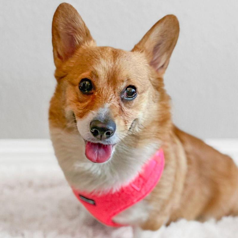 Adjustable Teddy Fabric Dog Harness - Fluorescent Pink