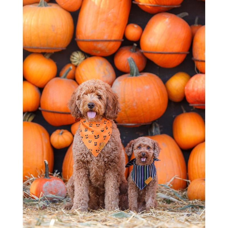 Remy+Roo | Jack | Dog Bandanas - 2 Pack Adjustable Square Plaid Printing Bib for Small to Large Dog Puppy Cat Halloween Bandana Pet Neck Accessory Christmas Dog Bandanas Set